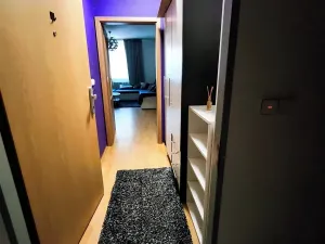 Pronájem bytu 1+kk, Plzeň, Květná, 32 m2