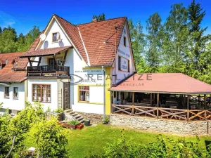 Prodej ubytování, Větřní, 250 m2