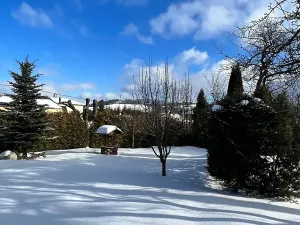 Prodej rodinného domu, Červená Voda, 310 m2