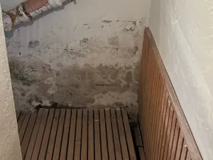 Prodej komerční nemovitosti, Smržice, Zákantí, 400 m2