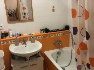 Pronájem bytu 2+kk, Olomouc, Družební, 54 m2