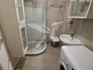 Pronájem bytu 1+1, Město Touškov, Čemínská, 38 m2