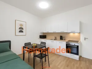 Pronájem bytu 1+kk, Ostrava - Moravská Ostrava, Přívozská, 40 m2
