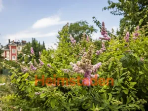 Pronájem bytu 2+kk, Ostrava - Kunčičky, Nadační, 45 m2