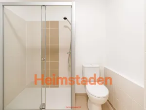 Pronájem bytu 1+1, Frýdek-Místek - Frýdek, Bruzovská, 35 m2