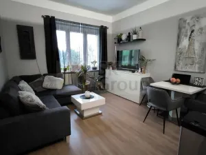 Prodej bytu 2+kk, Karlovy Vary - Rybáře, Čankovská, 46 m2