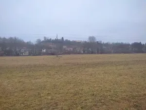 Prodej louky, Mladá Boleslav, 6926 m2