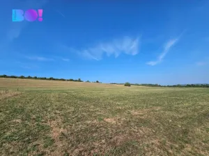 Prodej louky, Málkov, 20000 m2