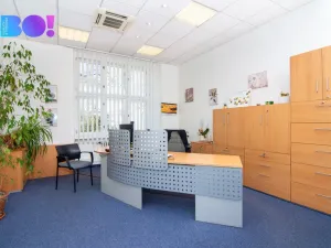 Pronájem obchodního prostoru, Frýdek-Místek - Frýdek, tř. T. G. Masaryka, 365 m2