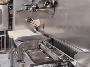 Prodej ubytování, Jetřichovice, okres děčín, 650 m2