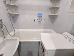 Pronájem bytu 2+1, Bílina - Teplické Předměstí, M. Švabinského, 55 m2