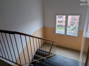 Pronájem bytu 2+1, Bílina - Teplické Předměstí, M. Švabinského, 55 m2