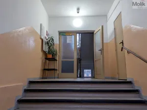 Pronájem bytu 2+1, Bílina - Teplické Předměstí, M. Švabinského, 55 m2