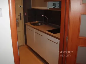 Pronájem bytu 1+kk, Praha - Žižkov, Jeseniova, 16 m2