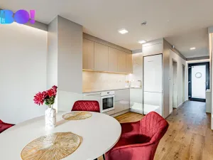 Pronájem apartmánu, Soběšovice, 80 m2