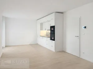 Pronájem bytu 2+kk, Brno, Auerswaldova, 47 m2
