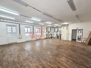 Prodej výrobních prostor, Odry - Vítovka, 372 m2