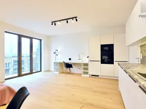 Prodej bytu 1+kk, Brno, Bratislavská, 44 m2