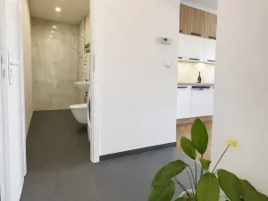 Pronájem bytu 2+kk, Praha - Žižkov, U kněžské louky, 80 m2