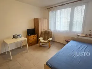 Pronájem bytu 1+kk, Písek, Dr. M. Horákové, 20 m2