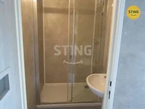 Pronájem bytu 1+1, Havířov, Rušná, 37 m2