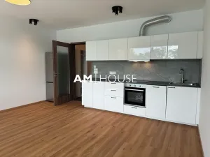 Pronájem bytu 1+kk, Praha - Strašnice, Nad vodovodem, 45 m2