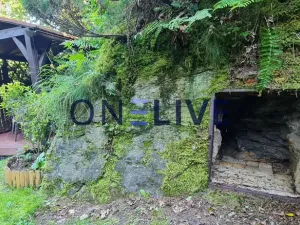 Prodej chaty, Bdeněves, 19 m2