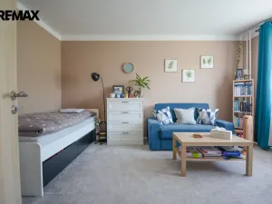 Prodej bytu 1+1, Hradec Králové - Moravské Předměstí, Štefánikova, 34 m2