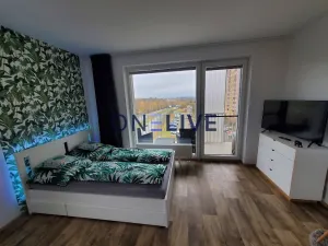 Pronájem bytu 1+kk, Plzeň, Na Chmelnicích, 35 m2