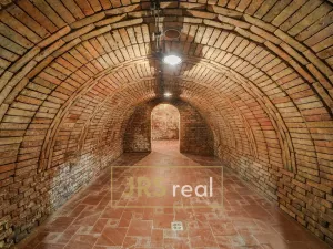 Prodej - jiné, Milotice, 321 m2