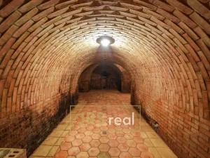 Prodej - jiné, Milotice, 321 m2