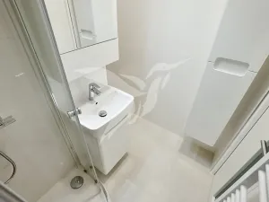 Pronájem bytu 1+kk, Plzeň, Hodonínská, 31 m2