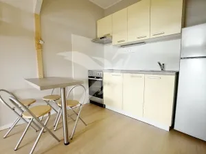 Pronájem bytu 1+kk, Plzeň, Hodonínská, 31 m2