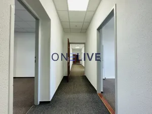 Pronájem kanceláře, Plzeň, náměstí T. G. Masaryka, 365 m2