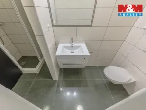 Prodej bytu 1+kk, Praha - Žižkov, Přemyslovská, 38 m2