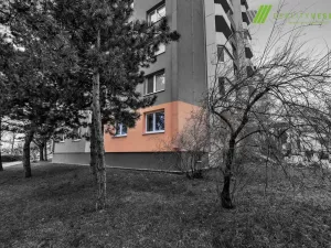 Prodej bytu 3+1, Hodonín, Velkomoravská, 69 m2