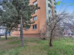 Prodej bytu 3+1, Hodonín, Velkomoravská, 69 m2