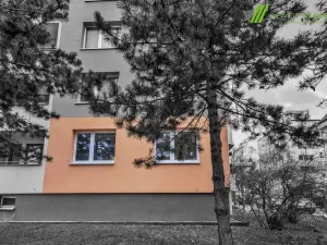 Prodej bytu 3+1, Hodonín, Velkomoravská, 69 m2