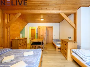 Prodej apartmánu, Železná Ruda - Hojsova Stráž, 500 m2