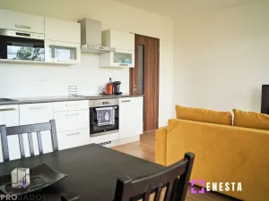 Pronájem bytu 2+kk, Praha - Hodkovičky, Šífařská, 54 m2