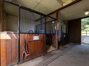 Prodej činžovního domu, Rozvadov - Svatá Kateřina, 650 m2