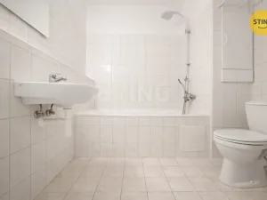 Pronájem bytu 1+kk, Ostrava - Bělský Les, 38 m2