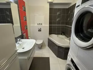 Pronájem bytu 3+kk, České Budějovice - České Budějovice 2, U Lučního jezu, 75 m2