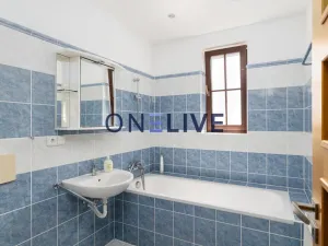 Prodej apartmánu, Přimda, Pod Hradem, 450 m2