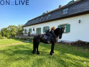 Prodej rodinného domu, Rozvadov - Svatá Kateřina, 650 m2