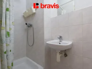 Pronájem bytu 1+1, Brno - Staré Brno, Křídlovická, 38 m2