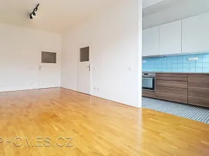 Pronájem bytu 2+kk, Praha - Nusle, U čtyř domů, 60 m2