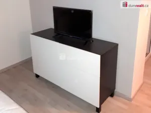 Pronájem bytu 1+kk, Praha - Vysočany, Strnadových, 33 m2