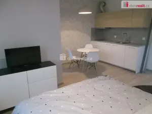 Pronájem bytu 1+kk, Praha - Vysočany, Strnadových, 33 m2