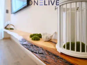 Prodej bytu 3+kk, Železná Ruda, Javorská, 118 m2